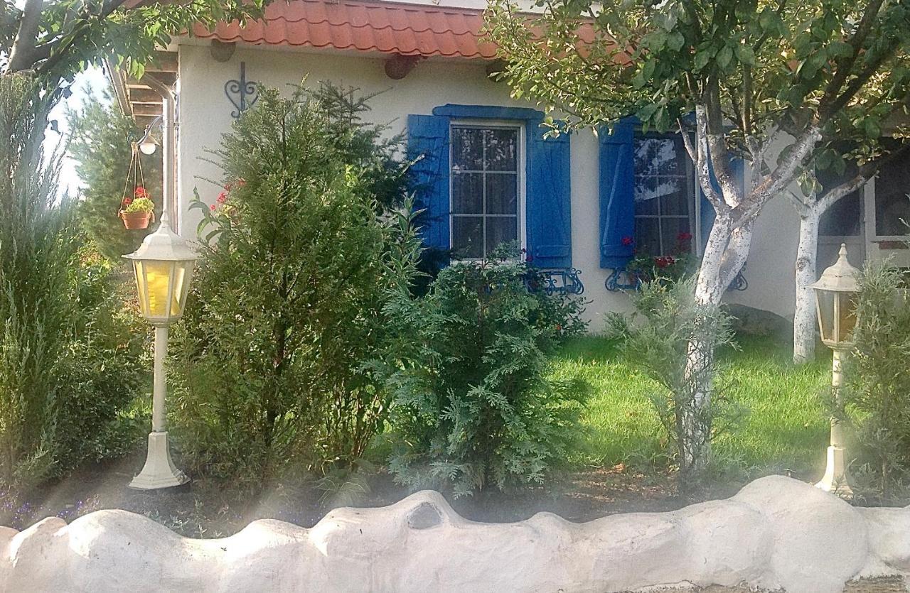 Flower Street Свитязь Экстерьер фото
